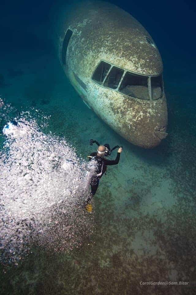 photographer take a photo for airplane