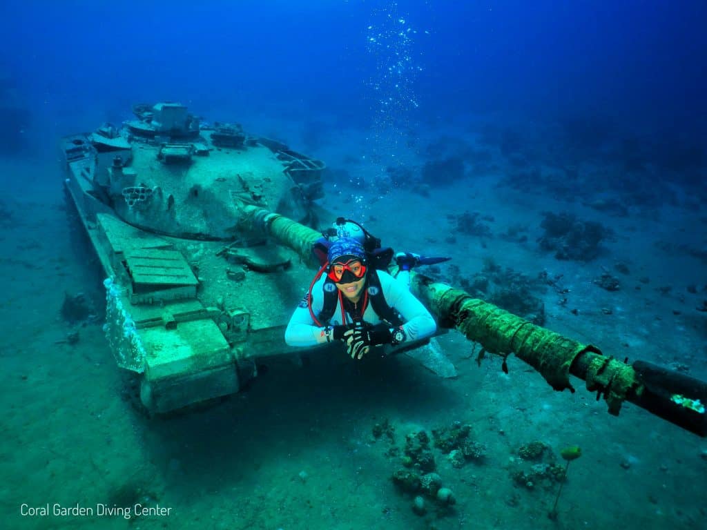 underwater museum tank, daily diving programs